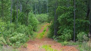 TBD State Highway 64 - Photo 17