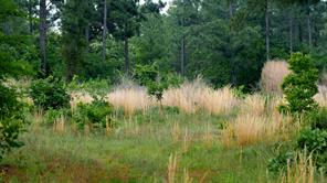 TBD State Highway 64 - Photo 21