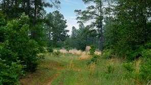 TBD State Highway 64 - Photo 22