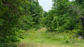 TBD State Highway 64 - Photo 4