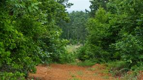 TBD State Highway 64 - Photo 5