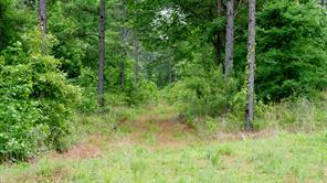 TBD State Highway 64 - Photo 8