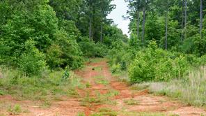 TBD State Highway 64 - Photo 9