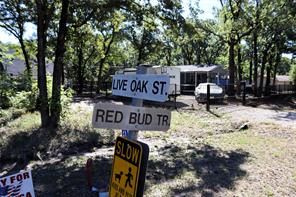 TBD Live Oak Street - Photo 11