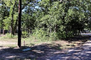 TBD Live Oak Street - Photo 13