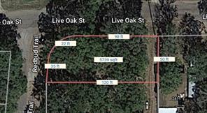 TBD Live Oak Street - Photo 3