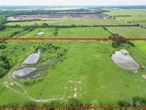 4488 County Road 2617 - Photo 3