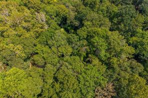 4649 New Copeland Road - Photo 6