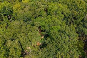 4649 New Copeland Road - Photo 8