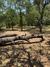 2300 Spring Mountain Road - Photo 4