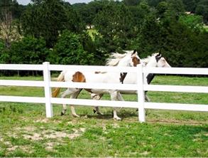 TBD Sec 31, Blk 4, Lot 22 Eagle Pass St - Photo 5