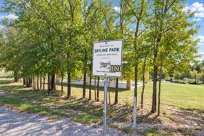 980 Jimmy Houston Way - Photo 15