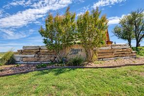 980 Jimmy Houston Way - Photo 4