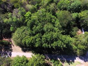 TBD County Road 1622 - Photo 18