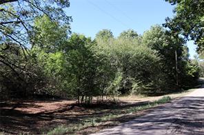 TBD County Road 1622 - Photo 4