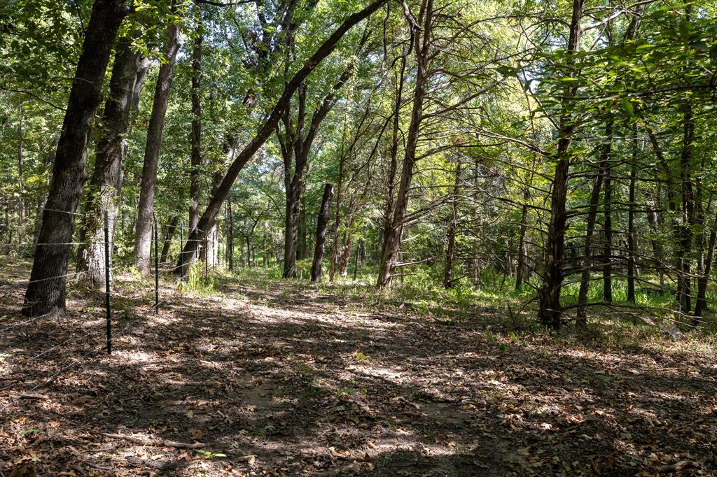 TBD Richards Road - Photo 12