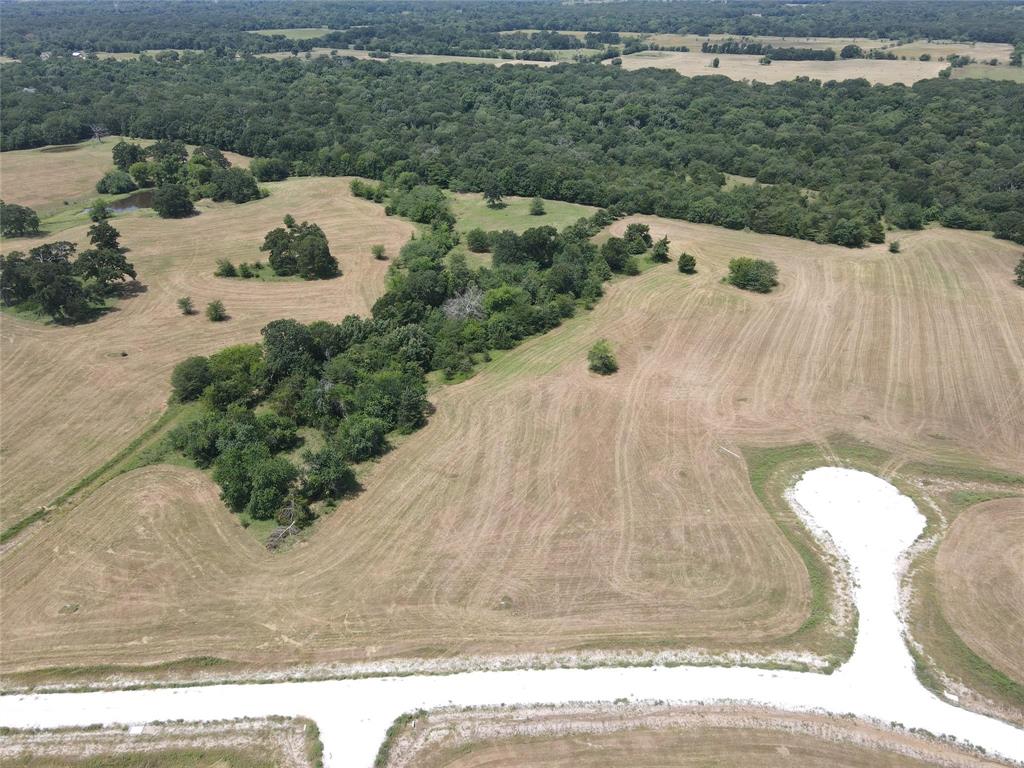 1007 Deer Crossing Trail - Photo 2