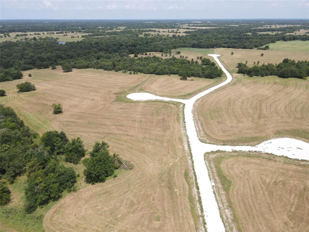 1007 Deer Crossing Trail - Photo 3