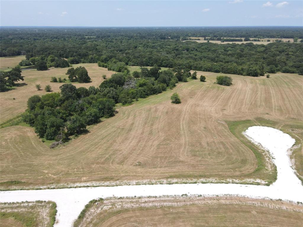 1007 Deer Crossing Trail - Photo 7