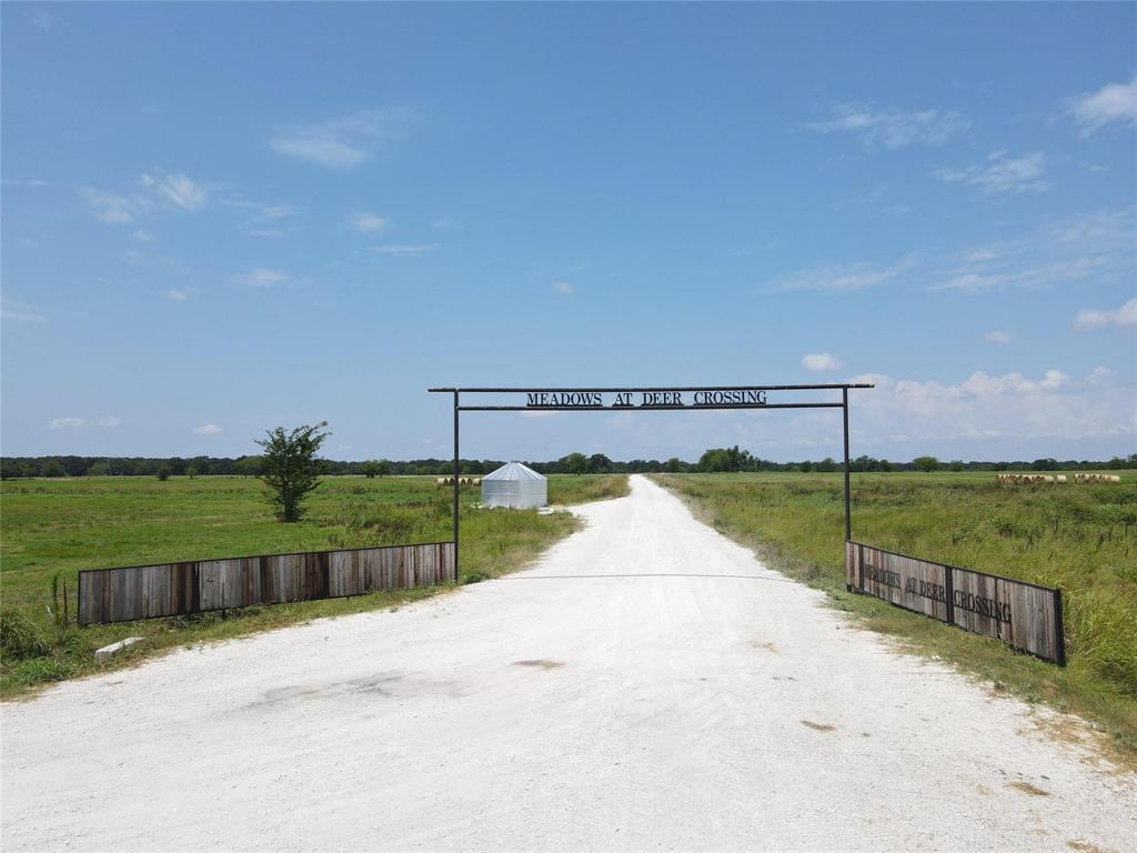 1007 Deer Crossing Trail - Photo 8