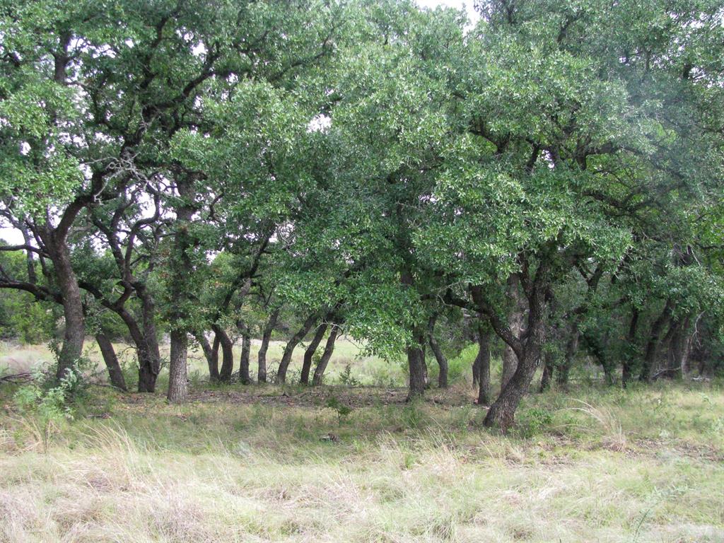 Lot 106 Ph 6 PR 42101 - Photo 15