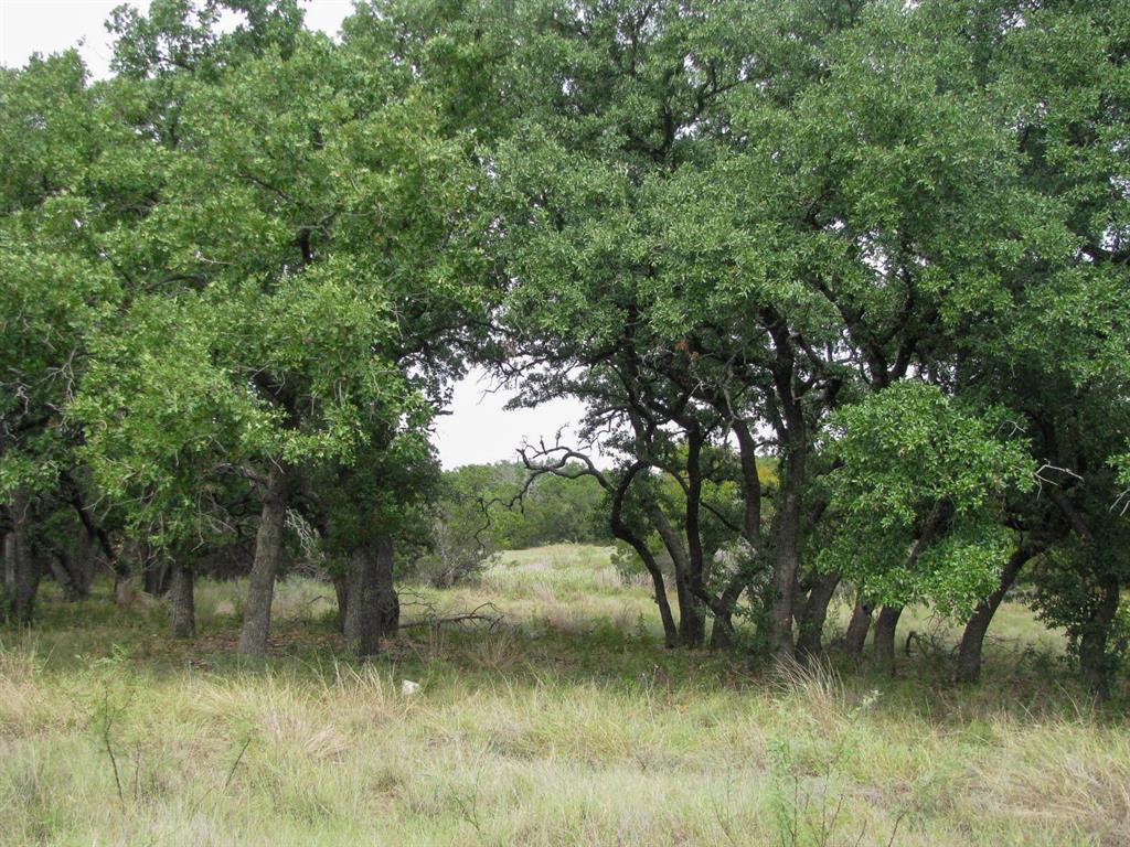 Lot 106 Ph 6 PR 42101 - Photo 28