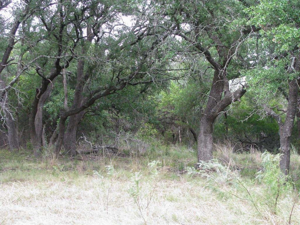 Lot 106 Ph 6 PR 42101 - Photo 29