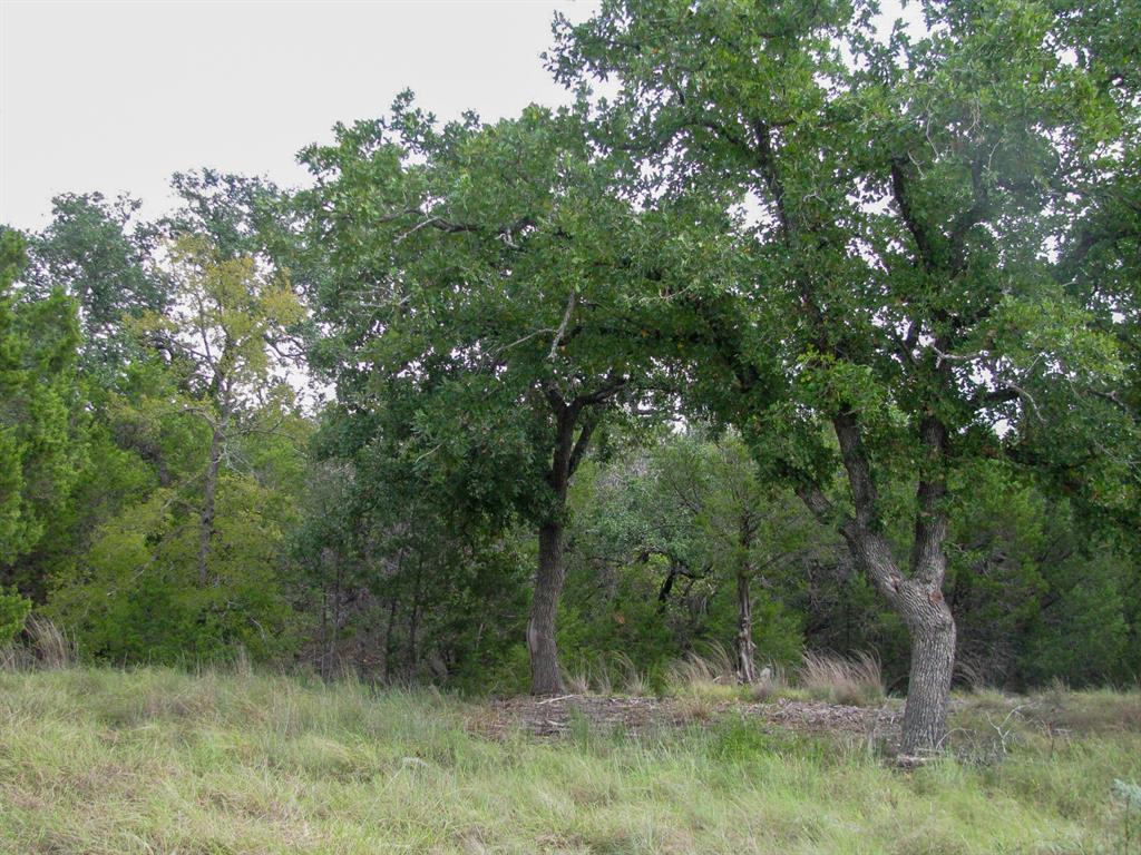 Lot 106 Ph 6 PR 42101 - Photo 8