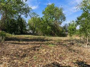 TBD Corsicana & Pine Street - Photo 18