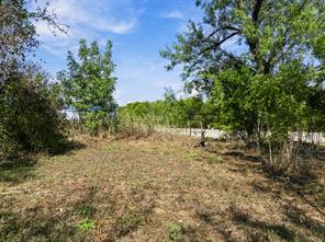 TBD Corsicana & Pine Street - Photo 19