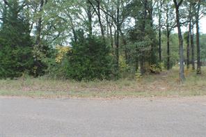 0 Inca Drive - Photo 2
