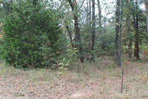 0 Inca Drive - Photo 3