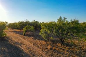TBD FM 2279 - Photo 28