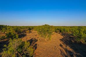 TBD FM 2279 - Photo 34