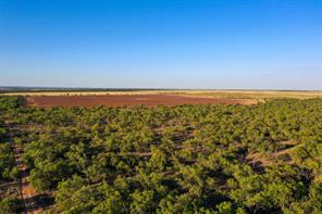 TBD FM 2279 - Photo 4