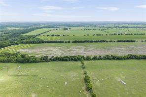TBD (Lot 3, Blk 1) County Road 1208 - Photo 8