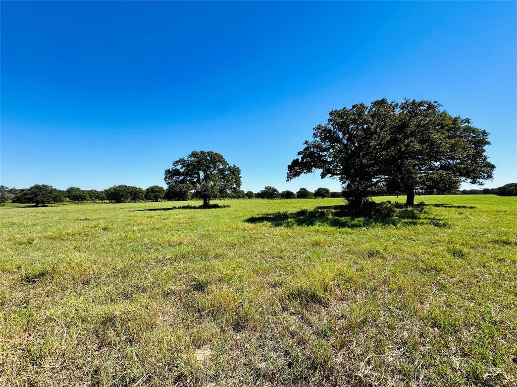 8593 State Highway 36 E - Photo 25