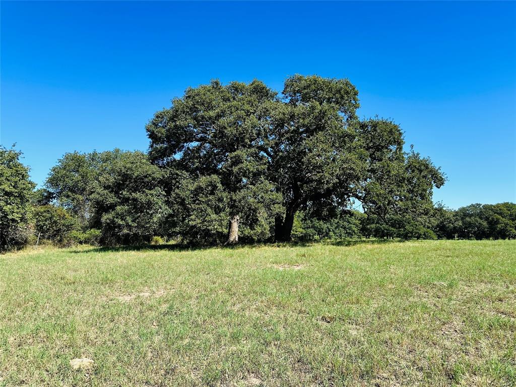 8593 State Highway 36 E - Photo 29