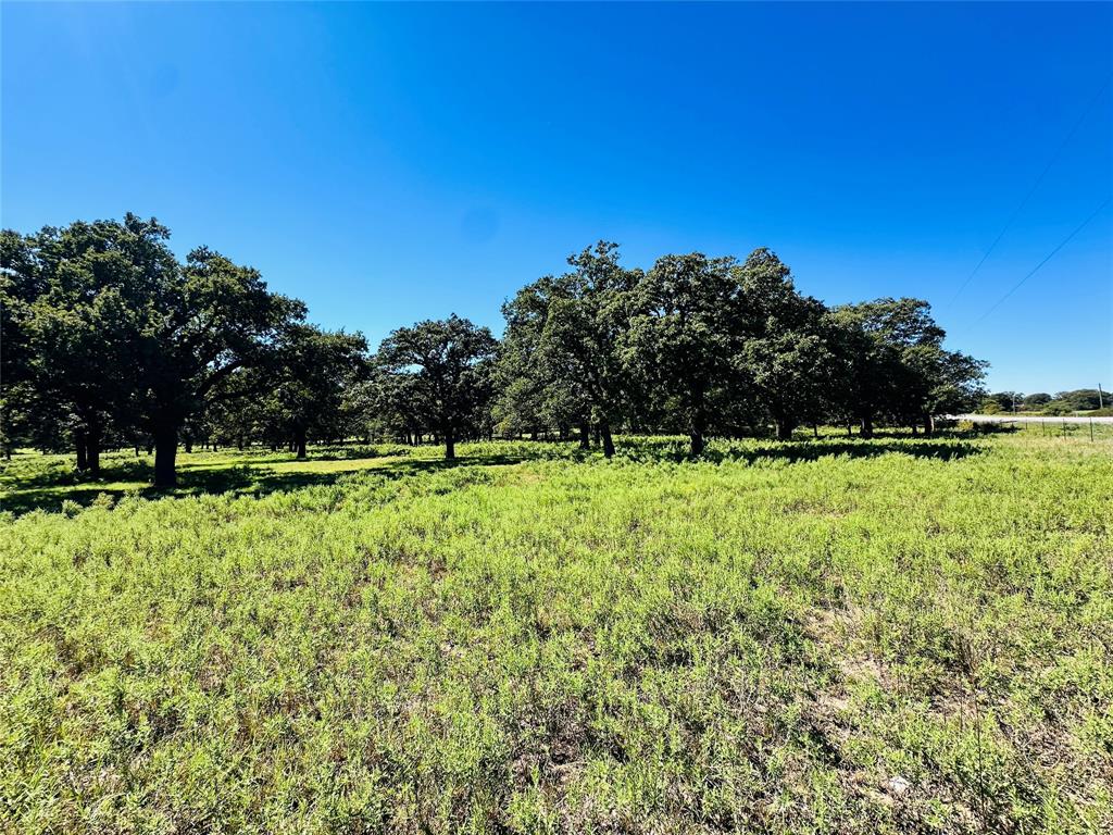 8593 State Highway 36 E - Photo 4