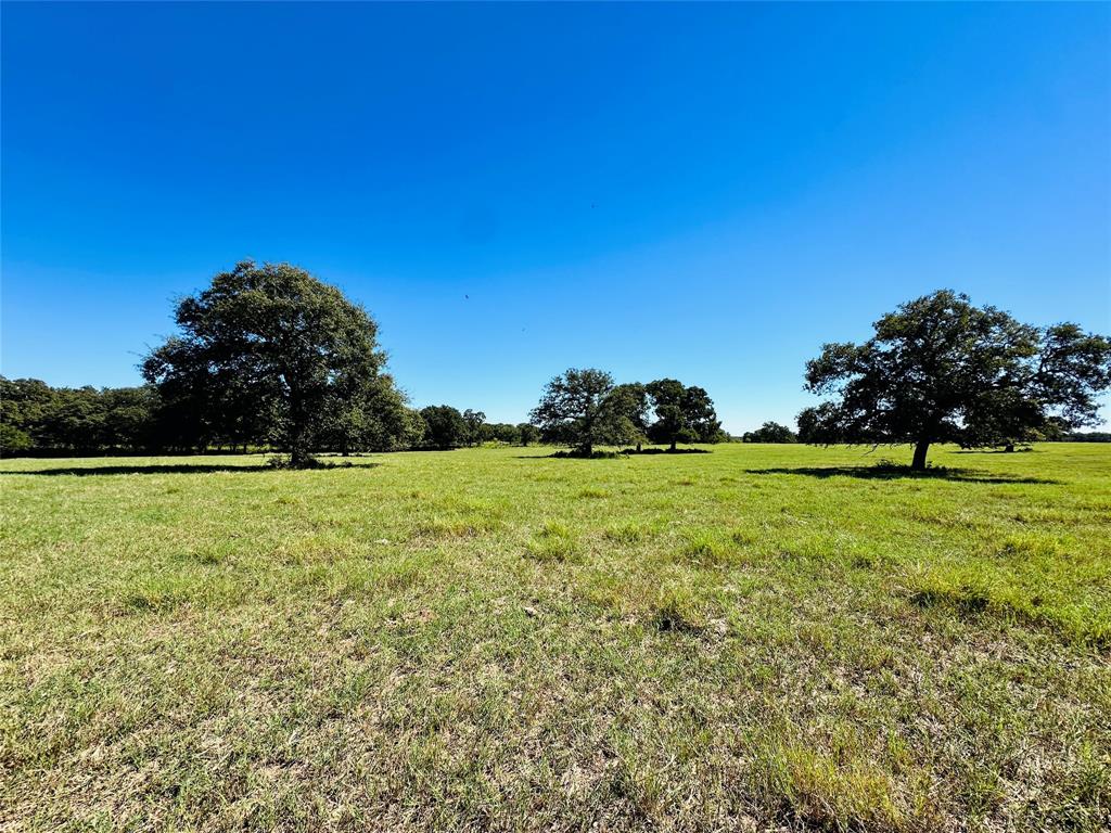 8593 State Highway 36 E - Photo 9