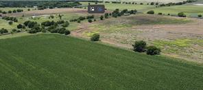 5301 County Road 401 - Photo 6
