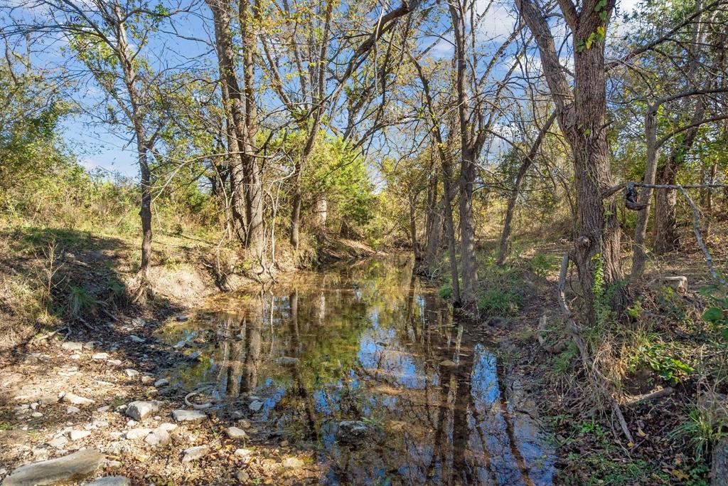 10723 County Road 539 Road - Photo 8