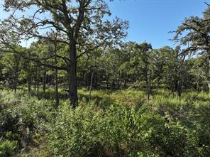 8602 CR 2448 - Photo 12
