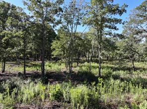 8602 CR 2448 - Photo 7
