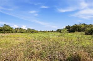 0 Roy Warren Parkway - Photo 14