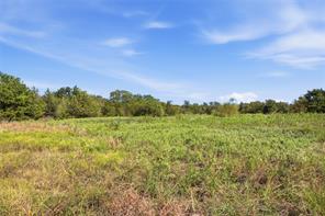 0 Roy Warren Parkway - Photo 9