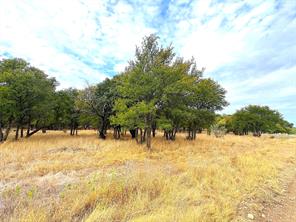 TBD Tx-148 - Photo 12