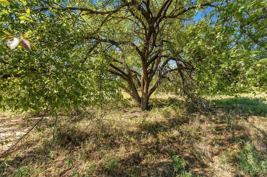 Tract 1 County Road 3673 - Photo 14