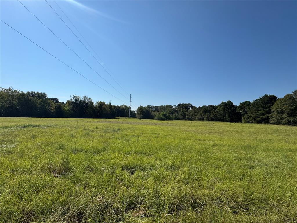 627 N HWY 287 - Photo 12