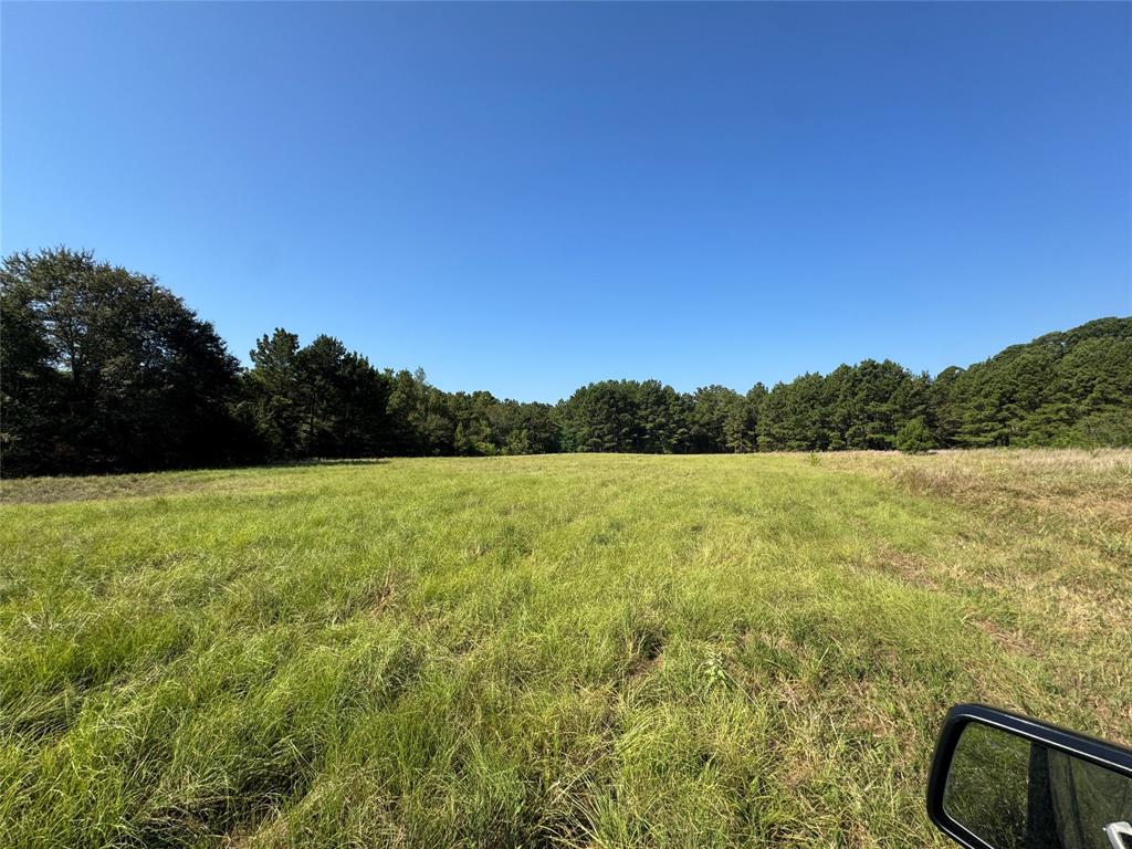 627 N HWY 287 - Photo 13